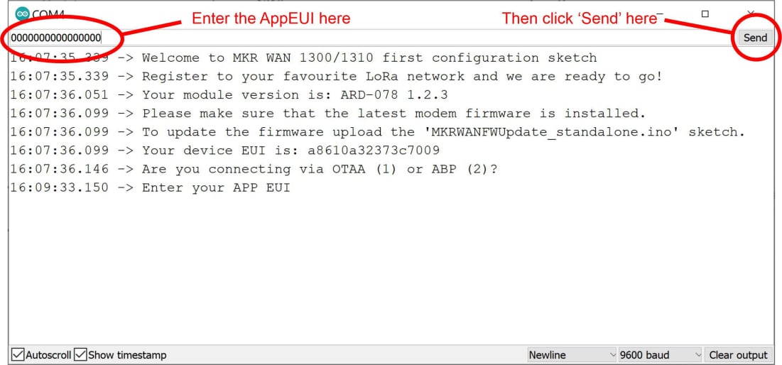 Enter appEUI