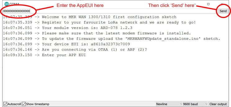 Enter appEUI